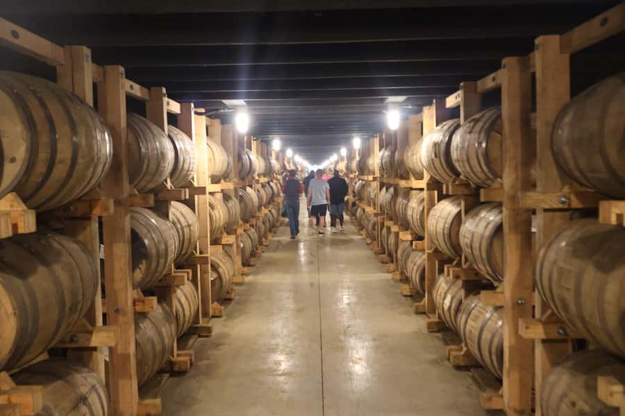 Uncle Nearest Green Distillery Tour from Downtown Nashville - Who will enjoy this whiskey outing?