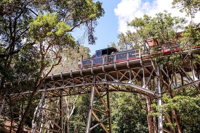 Victorian Steam (Long) Railway Journey+Great House & Distillery - Key things to know before you book
