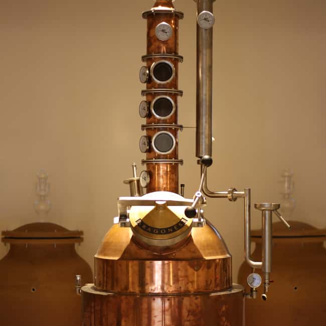 Visit the distillery of Ischia island - What happens during the 15-minute visit
