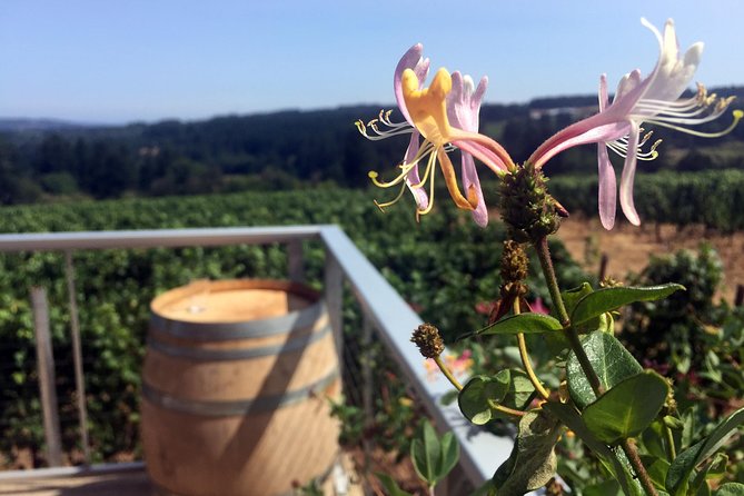 Willamette Valley Wine & Whisky - Key points to know before booking