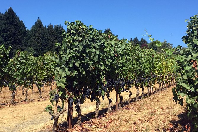 Willamette Valley Wine & Whisky - The guide can make or break the day
