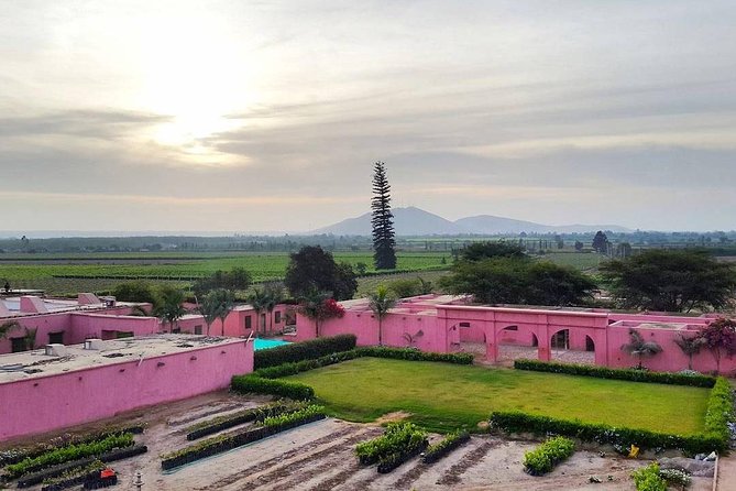 Winery and Pisco Distillery tour - Tacama: an impressive first stop