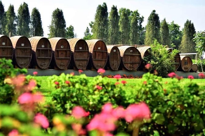 Winery and Pisco Distillery tour - Price and value at $30.77