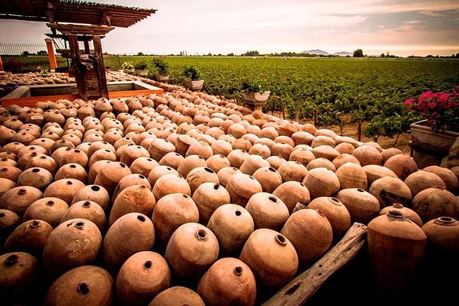 Winery and Pisco Distillery tour - Pickup details for Ica, Huacachina, and bus arrivals