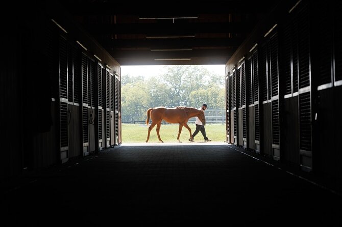 Woodford Reserve, Kismet Thoroughbred Farm & Whiskey Thief - Lunch gives the schedule a needed reset