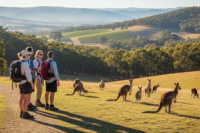 Yarra Valley by night! Private wine, whisky and dinner tour - Key points to know before booking