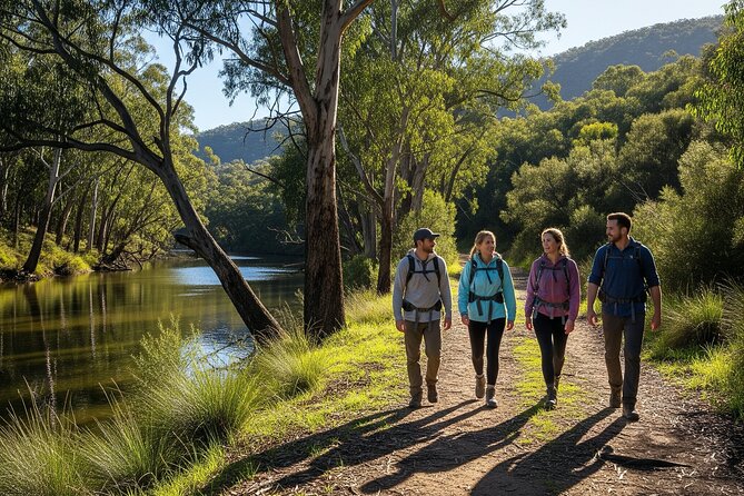 Yarra Valley by night! Private wine, whisky and dinner tour - Who will enjoy this evening most
